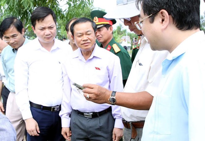 Phó Chủ tịch Quốc hội Đỗ Bá Tỵ làm việc tại tỉnh Kiên Giang  - ảnh 1